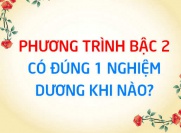 Phương trình bậc 2 có đúng 1 nghiệm dương khi nào? Điều kiện...
